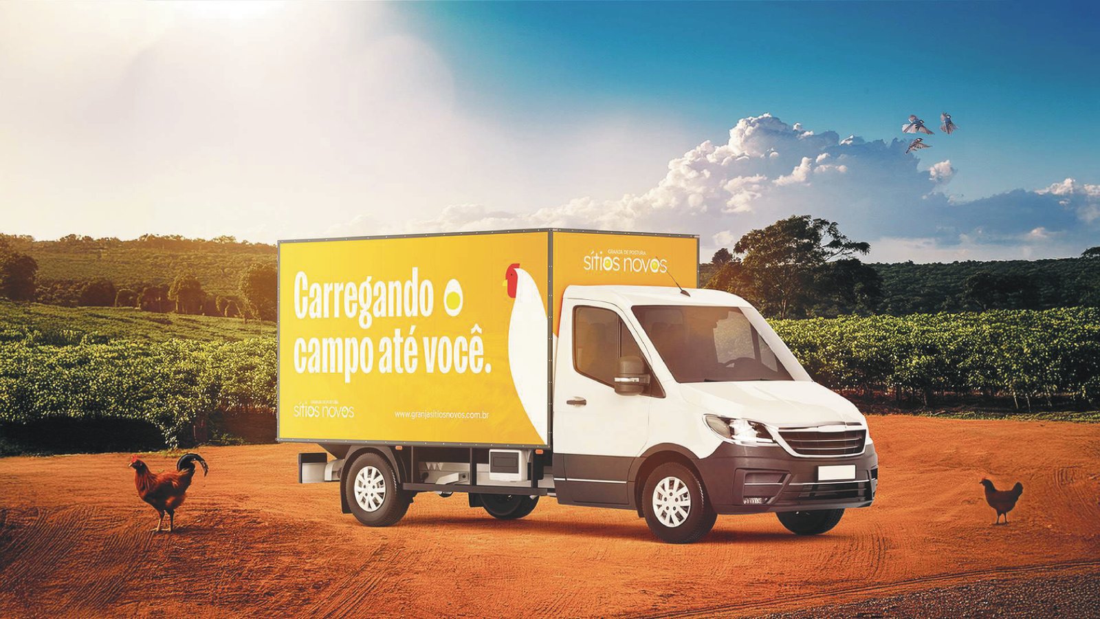 Entrega de ovos — Granja Sitios Novos